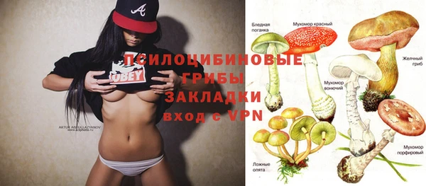прущие крисы Алексеевка