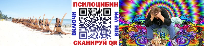 KRAKEN рабочий сайт  Сафоново  Псилоцибиновые грибы GOLDEN TEACHER 