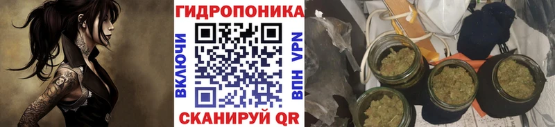 купить закладку  Сафоново  Каннабис план 